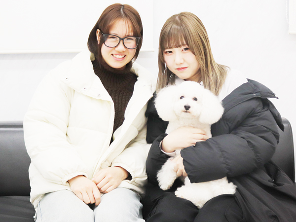 モデル犬の新しい家族が決まりました！PART④